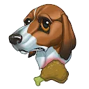 Matt Bloch profile picture