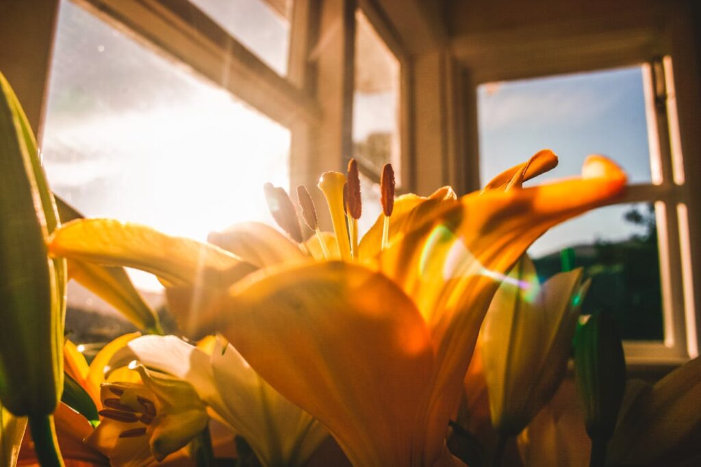 Does Window Film Work In Summer?