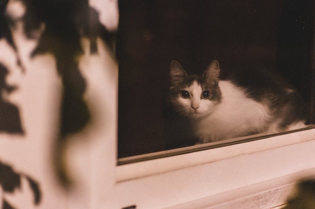 How Do I Make My Windows Not See Through At Night?