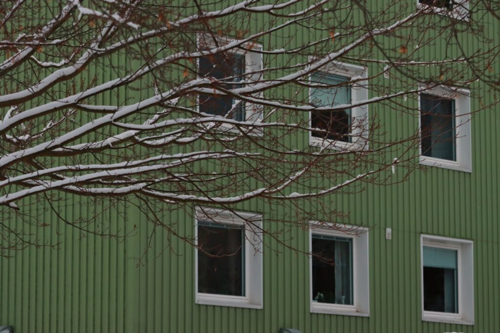 Do Solar Screens Make Your House Dark?
