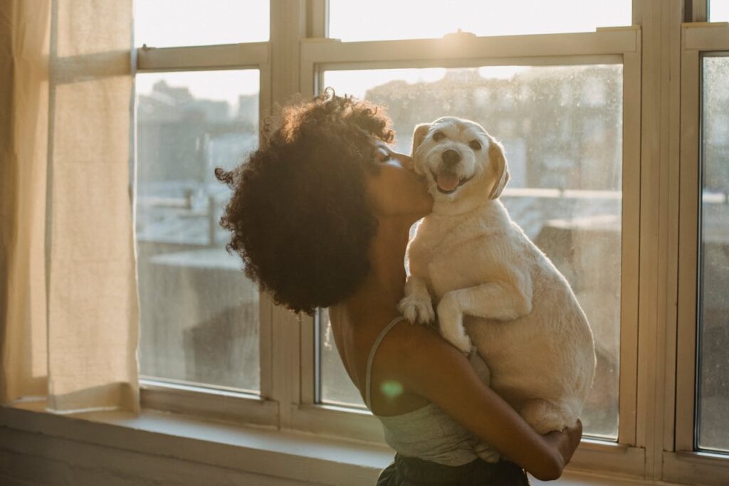 Is Solar Glass Worth It?